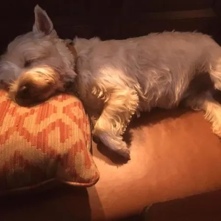 Cheffins At The Beaumont Herberg