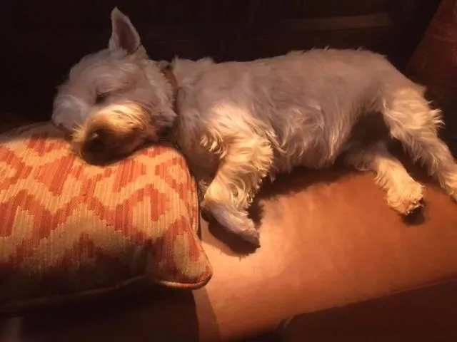 Cheffins At The Beaumont Πανδοχείο